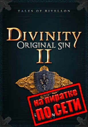 Версия Divinity Original Sin 2 по сети